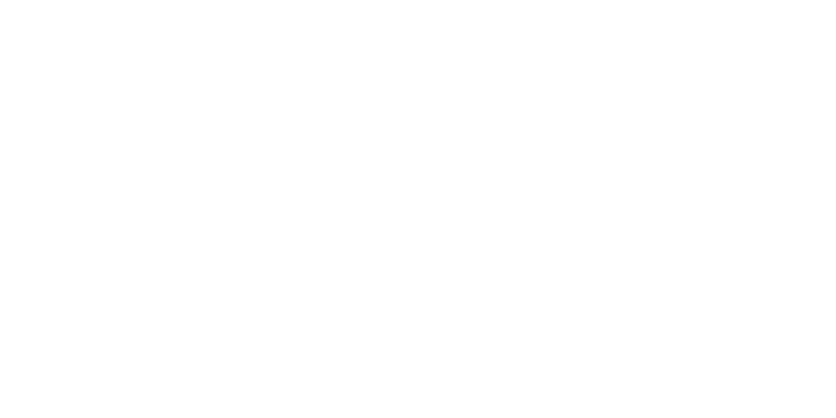 Quantum leap capital logo white